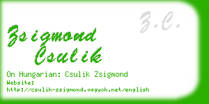 zsigmond csulik business card
